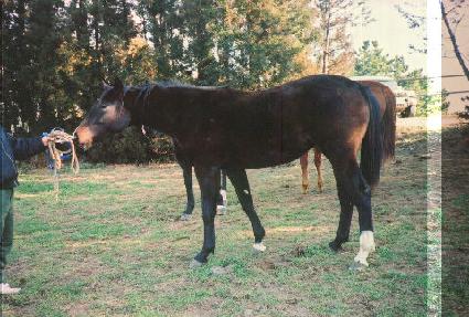 ����Ʈ����Ʈ ����