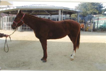 ������ȭ ����