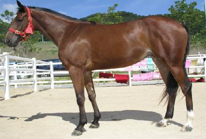 ����� ����