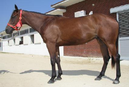 �׾� ����