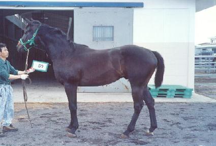 õ�ϸ��� ����