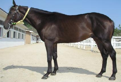 ����� ����