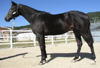 ��ȥ���߾� ����