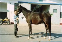 Ƽ���̷��� (T JAY��S LAND) ����