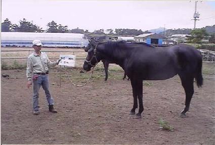 ������ ����