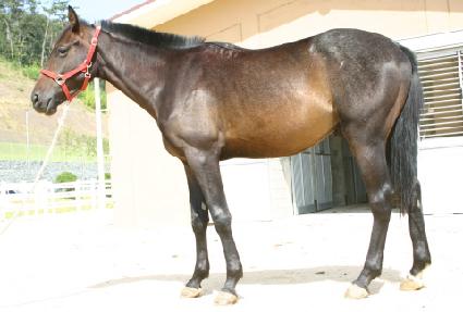 ���� ����