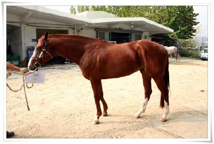 ��õ ����