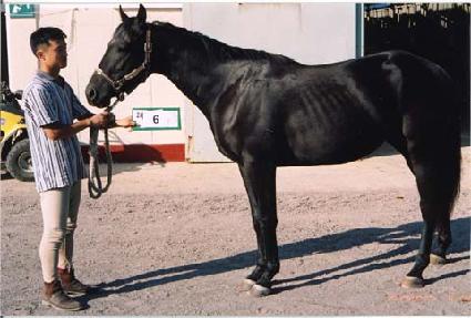 �ֻ��� ����