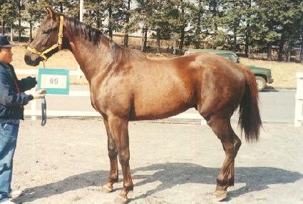 �ٽ��ѹ� ����