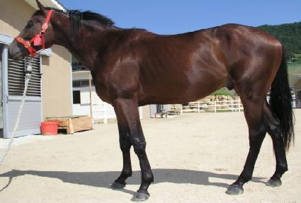 �Ƿ¹��� ����