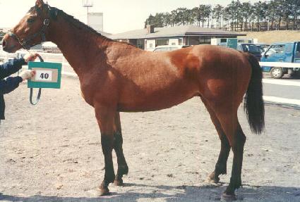 �ڵ�� ����