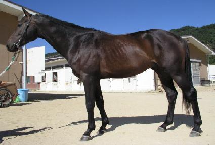 ����� ����