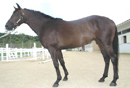 ��� ����