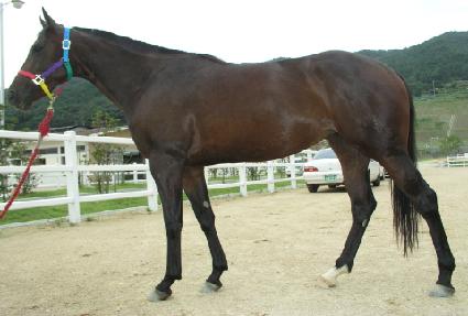 ��븸�� ����