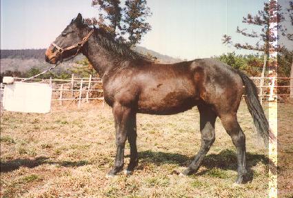 ���� ����