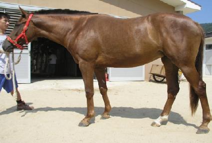 �����ֵ� ����