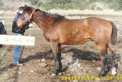 ó��ó�� ����