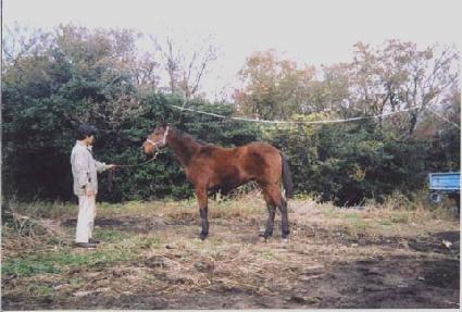 Ư�޸��� ����