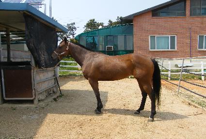 �غ곪�̽� ����