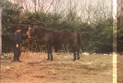 ������ ����