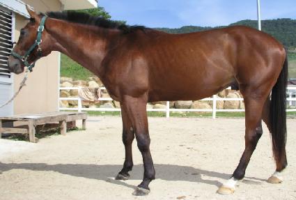 �ٹ��� ����