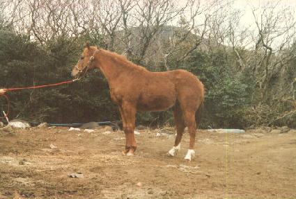 �Ƕ���� ����