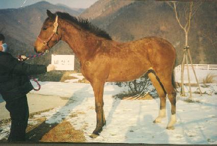 Ȳ���� ����