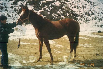 ���� ����