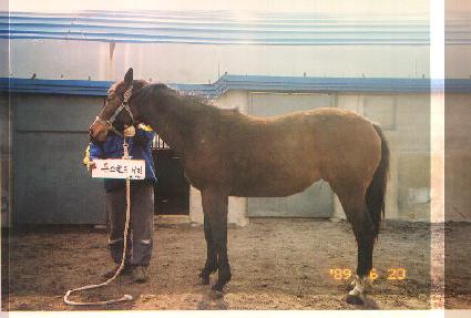 ������� ����