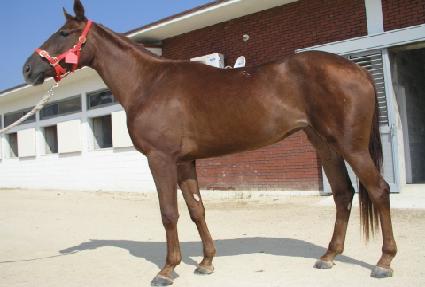 ���ɴ�� ����