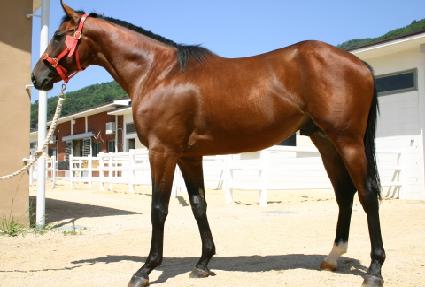 ��ǳ�� ����