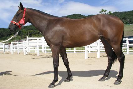 ��޻� ����