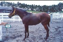 �̷����� (MIRAE JEGUK) ����