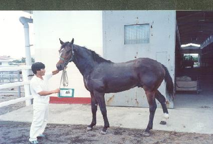 ��ǽ�ȭ ����