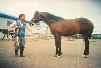 ������ȭ (SEONGGONG SHINHWA) ����