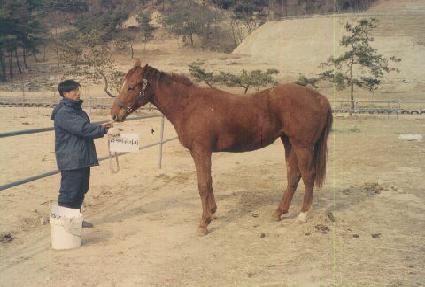 ������â ����