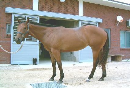 �̽ô��ְ� ����