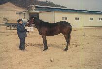 ���� (GUN RYEONG) ����