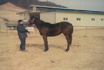 ���� ����