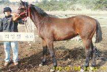 ĭŸī (KANTAKA) ����