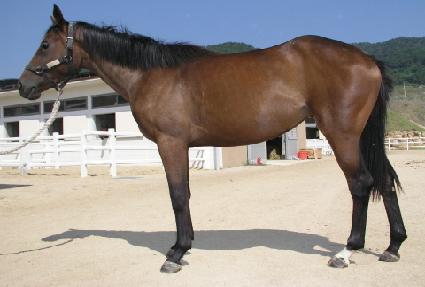 ��ſ�� ����