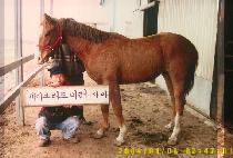 ����� (SANGBALJE) ����