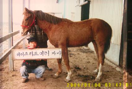 ����� ����