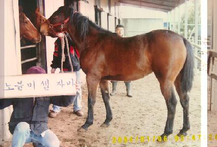 ������� ����