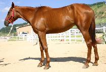 �Ź��� (MAEBEONSEUNG) ����