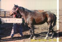 �ºαټ� (SEUNGBU GEUNSEONG) ����