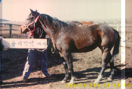 �ºαټ� ����