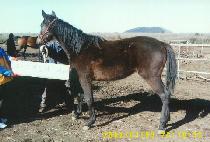 ���� (HEUKHAE) ����