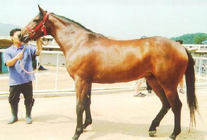 �ƻ꼱�� ����