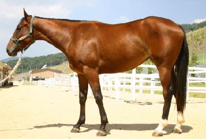 ���û� ����